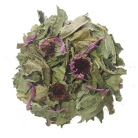  سرخارگل اکیناسه شلیرا - 40 گرم6333d4740a50a911050